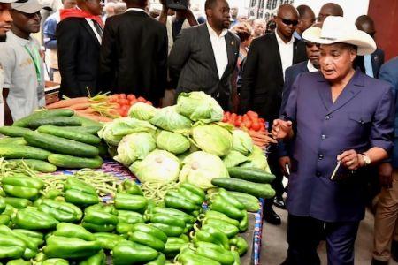 Agriculture : à Bambou-Mingali, le Congo fait de la souveraineté alimentaire une priorité
